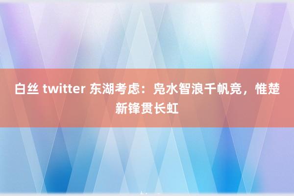 白丝 twitter 东湖考虑：凫水智浪千帆竞，惟楚新锋贯长虹