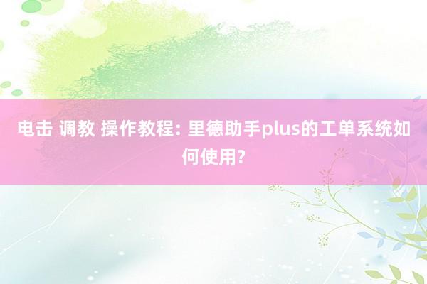 电击 调教 操作教程: 里德助手plus的工单系统如何使用?