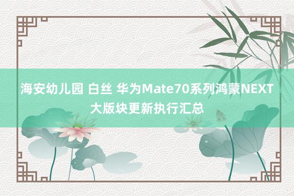 海安幼儿园 白丝 华为Mate70系列鸿蒙NEXT大版块更新执行汇总