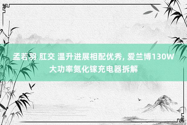 孟若羽 肛交 温升进展相配优秀， 爱兰博130W大功率氮化镓充电器拆解