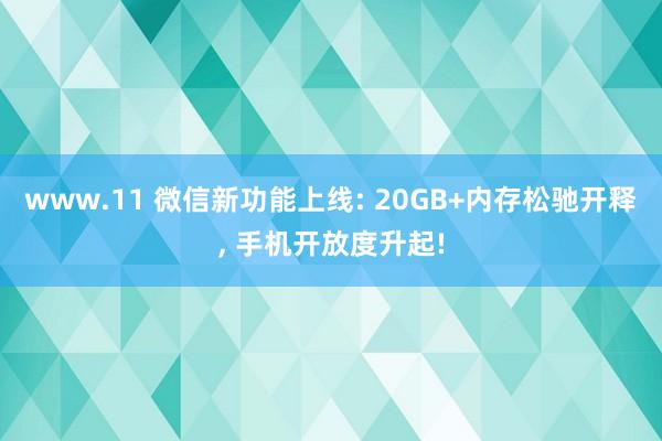 www.11 微信新功能上线: 20GB+内存松驰开释， 手机开放度升起!