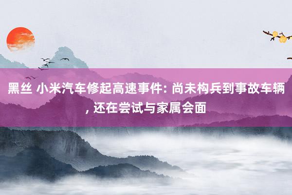 黑丝 小米汽车修起高速事件: 尚未构兵到事故车辆， 还在尝试与家属会面