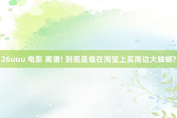 26uuu 电影 离谱! 到底是谁在淘宝上买南边大蟑螂?