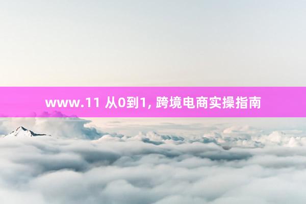 www.11 从0到1， 跨境电商实操指南