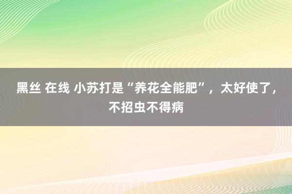 黑丝 在线 小苏打是“养花全能肥”，太好使了，不招虫不得病