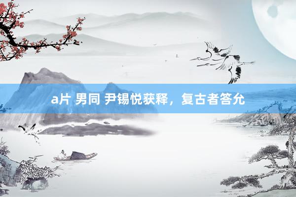 a片 男同 尹锡悦获释，复古者答允