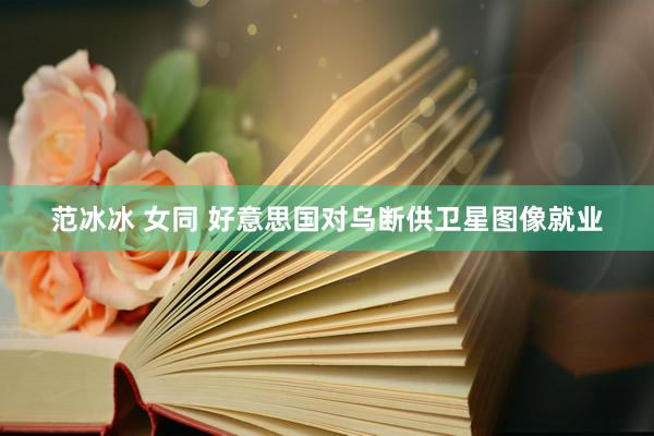 范冰冰 女同 好意思国对乌断供卫星图像就业